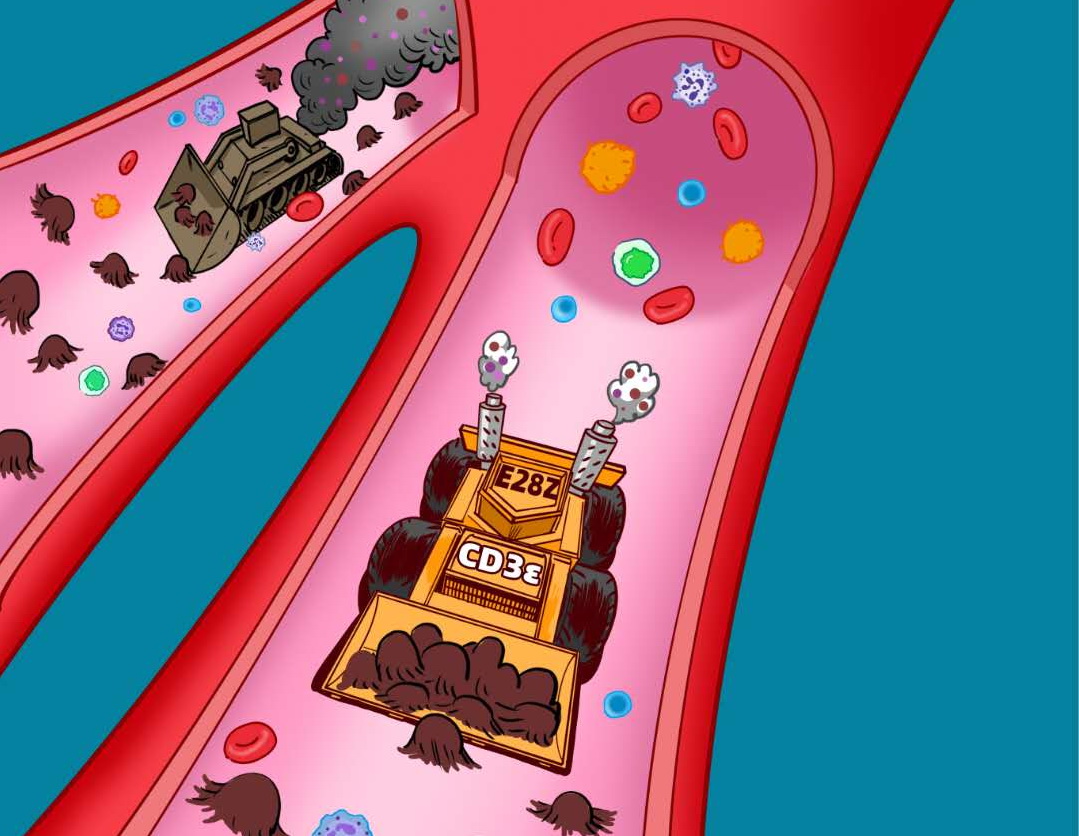 中國科學家發現CAR-T細胞治療新方法