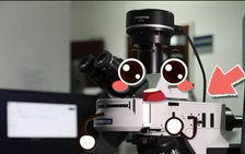 一枚平平無奇的工具人的自白